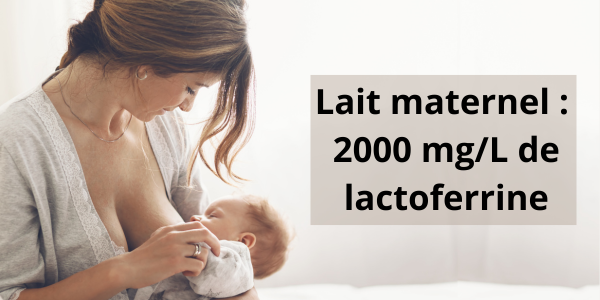 2000 mgl de lactoferrine dans le lait maternel